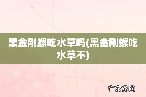 黑金刚螺吃水草不 黑金刚螺吃水草吗