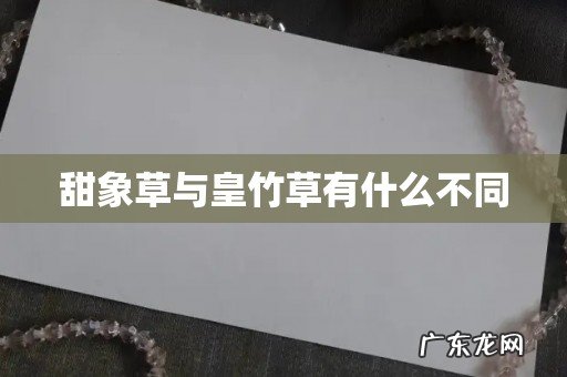 甜象草与皇竹草有什么不同