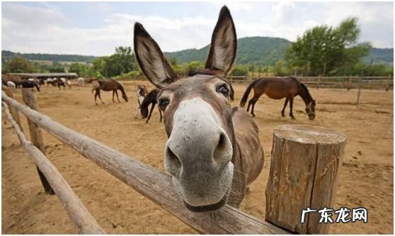 公司风水对员工的影响 老板信风水怎么办