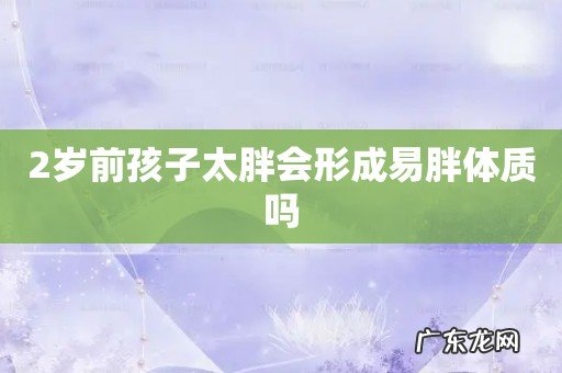 2岁前孩子太胖会形成易胖体质吗