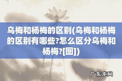 乌梅和杨梅的区别有哪些?怎么区分乌梅和杨梅?[图] 乌梅和杨梅的区别