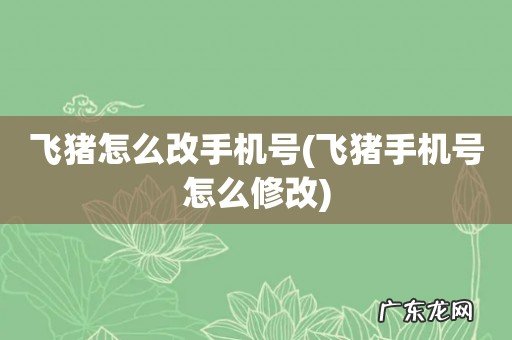 飞猪手机号怎么修改 飞猪怎么改手机号