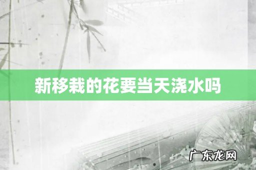 新移栽的花要当天浇水吗