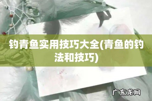 青鱼的钓法和技巧 钓青鱼实用技巧大全