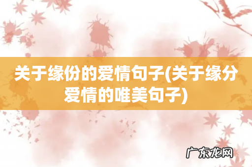 关于缘分爱情的唯美句子 关于缘份的爱情句子