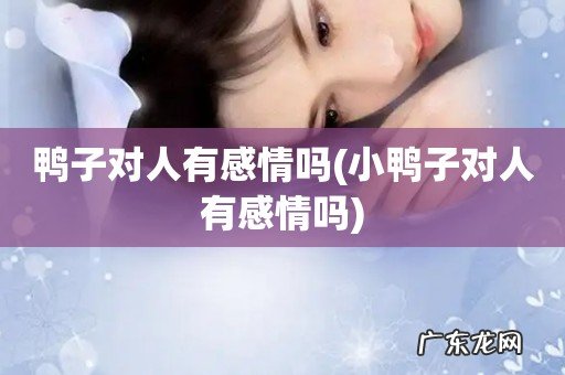 小鸭子对人有感情吗 鸭子对人有感情吗