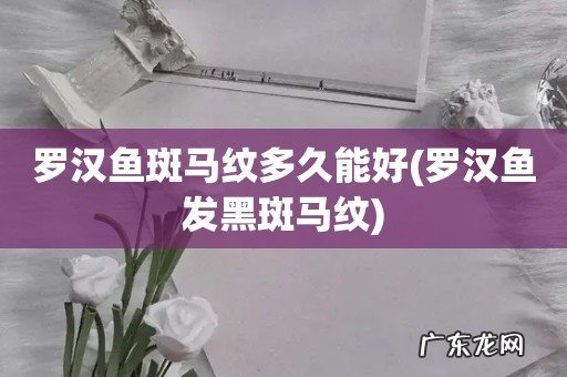 罗汉鱼发黑斑马纹 罗汉鱼斑马纹多久能好