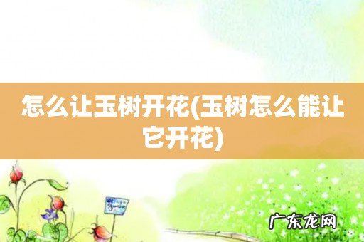 玉树怎么能让它开花 怎么让玉树开花