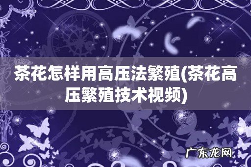 茶花高压繁殖技术视频 茶花怎样用高压法繁殖