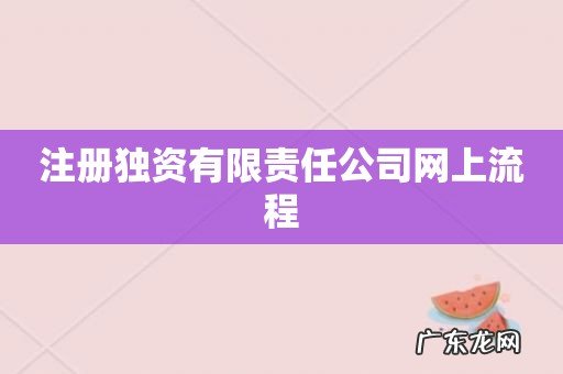注册独资有限责任公司网上流程