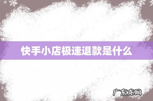 快手小店极速退款是什么