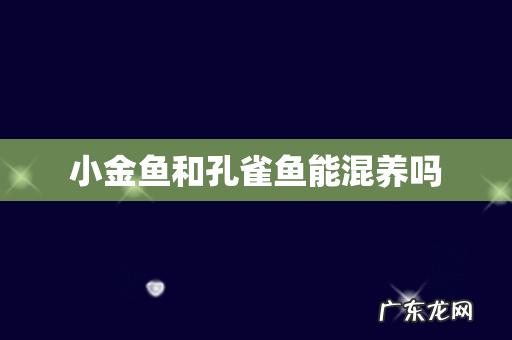 小金鱼和孔雀鱼能混养吗