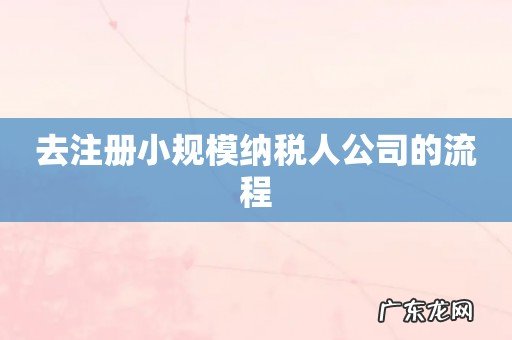 去注册小规模纳税人公司的流程