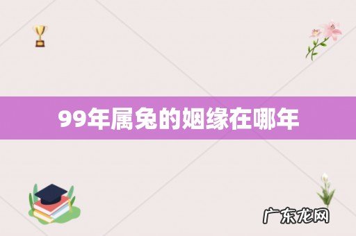 99年属兔的姻缘在哪年