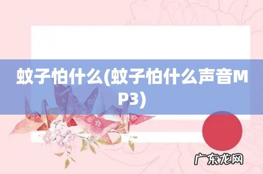 蚊子怕什么声音MP3 蚊子怕什么