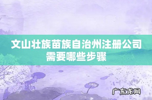 文山壮族苗族自治州注册公司需要哪些步骤