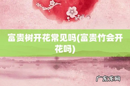 富贵竹会开花吗 富贵树开花常见吗