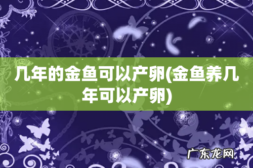 金鱼养几年可以产卵 几年的金鱼可以产卵