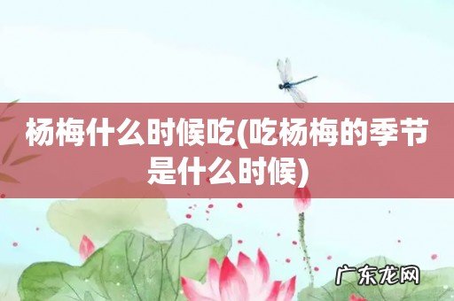 吃杨梅的季节是什么时候 杨梅什么时候吃