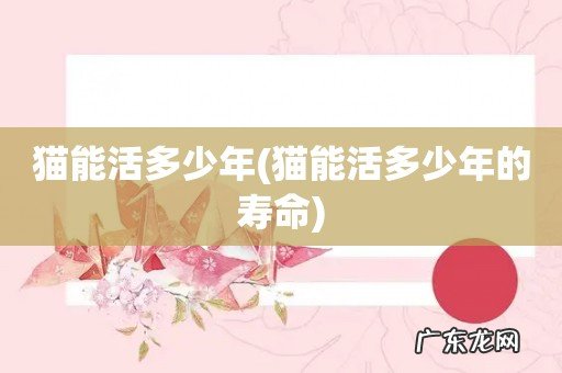 猫能活多少年的寿命 猫能活多少年