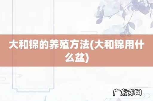 大和锦用什么盆 大和锦的养殖方法