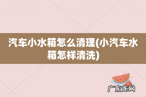 小汽车水箱怎样清洗 汽车小水箱怎么清理