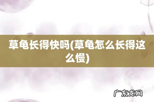 草龟怎么长得这么慢 草龟长得快吗