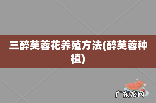 醉芙蓉种植 三醉芙蓉花养殖方法