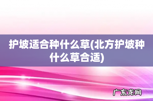 北方护坡种什么草合适 护坡适合种什么草