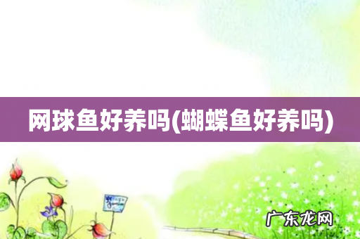蝴蝶鱼好养吗 网球鱼好养吗