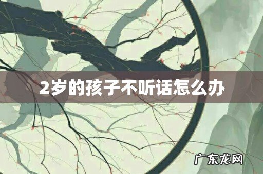 2岁的孩子不听话怎么办