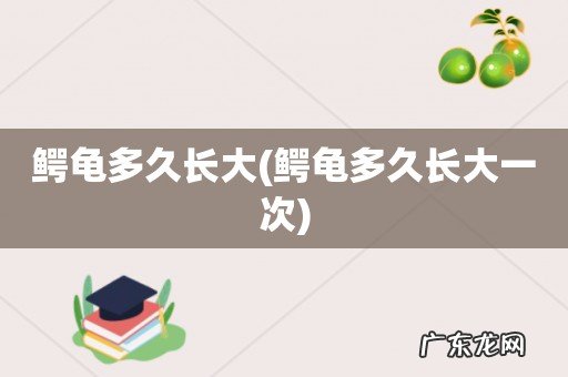 鳄龟多久长大一次 鳄龟多久长大