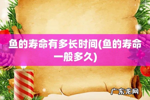 鱼的寿命一般多久 鱼的寿命有多长时间