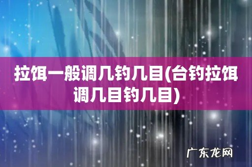 台钓拉饵调几目钓几目 拉饵一般调几钓几目