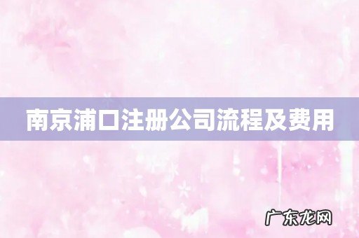 南京浦口注册公司流程及费用