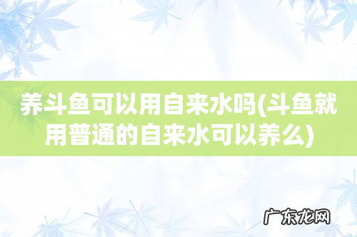 斗鱼就用普通的自来水可以养么 养斗鱼可以用自来水吗