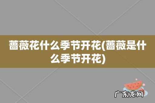 蔷薇是什么季节开花 蔷薇花什么季节开花