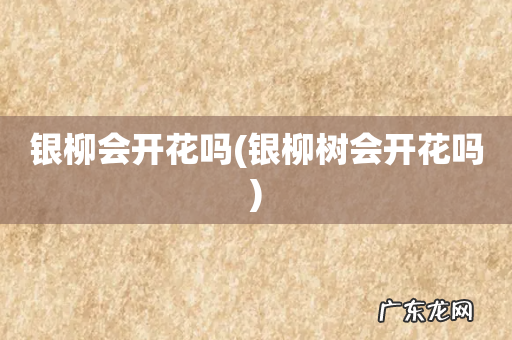 银柳树会开花吗 银柳会开花吗