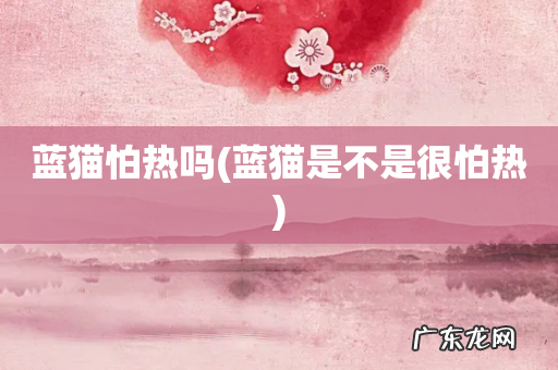 蓝猫是不是很怕热 蓝猫怕热吗