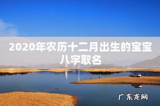 2020年农历十二月出生的宝宝八字取名