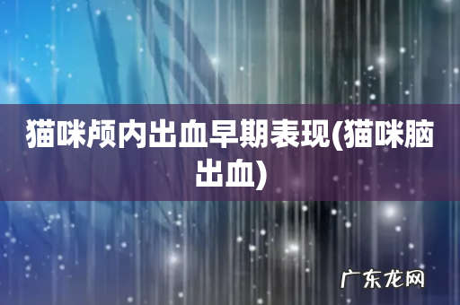 猫咪脑出血 猫咪颅内出血早期表现