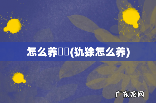 犰狳怎么养 怎么养鳑鲏