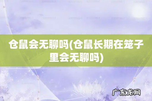 仓鼠长期在笼子里会无聊吗 仓鼠会无聊吗