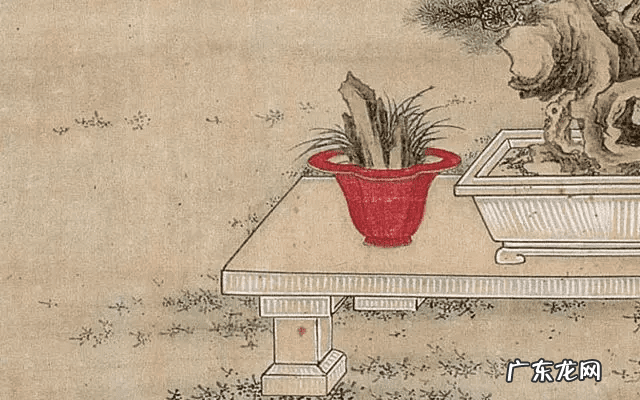 中药材菖蒲的功效用法 菖蒲的药效功能