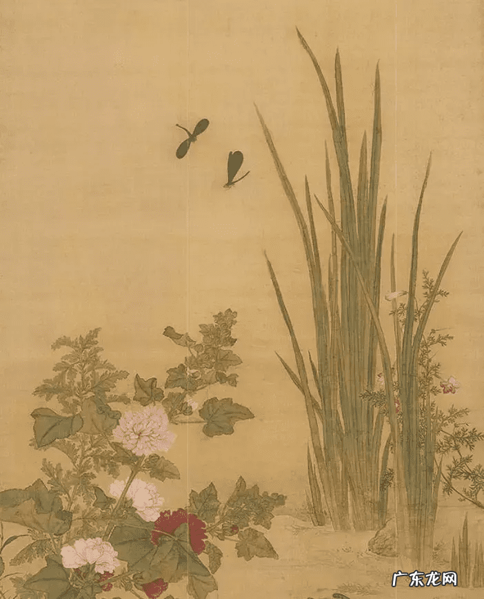 中药材菖蒲的功效用法 菖蒲的药效功能