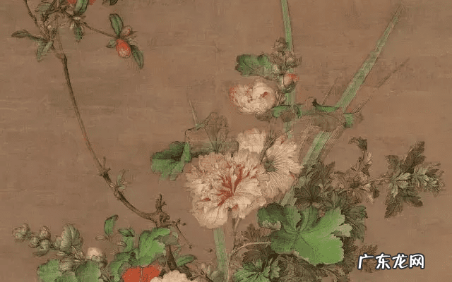 中药材菖蒲的功效用法 菖蒲的药效功能