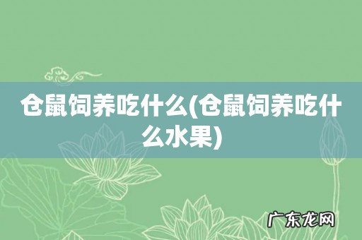 仓鼠饲养吃什么水果 仓鼠饲养吃什么