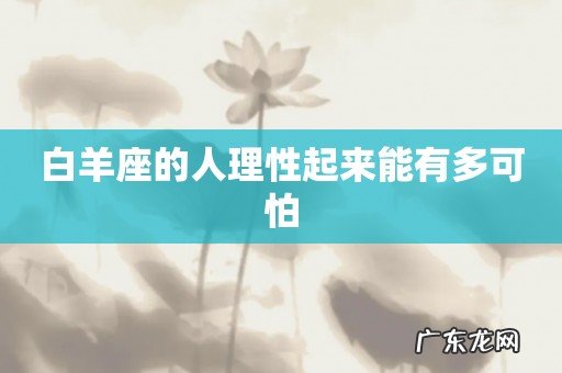 白羊座的人理性起来能有多可怕