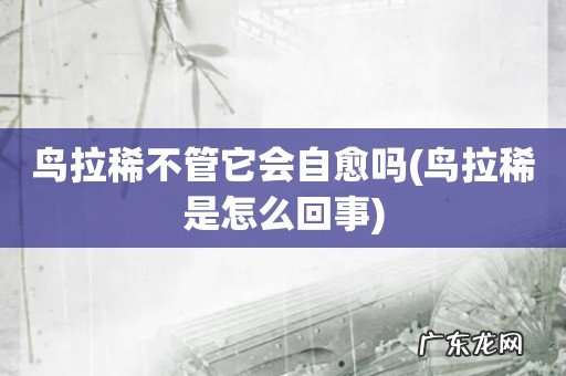 鸟拉稀是怎么回事 鸟拉稀不管它会自愈吗
