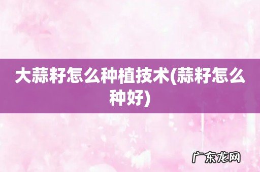 蒜籽怎么种好 大蒜籽怎么种植技术